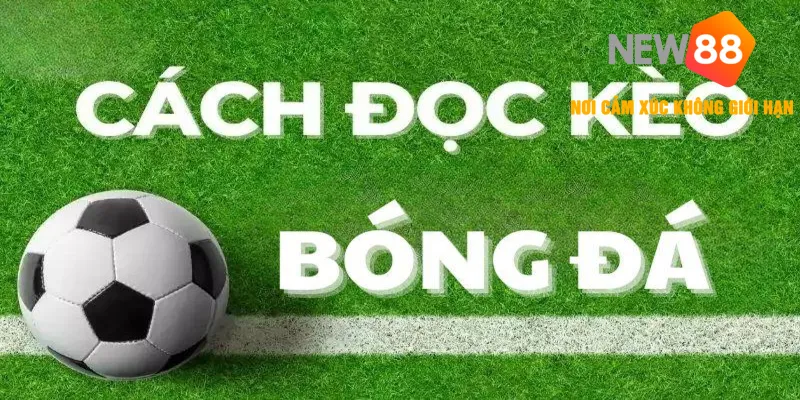 Kèo Chấp Là Gì? - Cách Chơi & Giải Thích Các Kèo Phổ Biến 2025 3 Bí kíp chiến thắng khi tham gia kèo Handicap