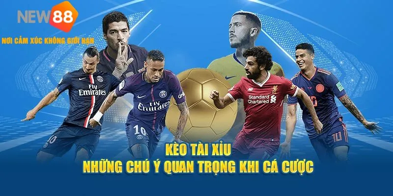 Cách Soi Kèo Bóng Đá Tài Xỉu 🎯 Chuẩn Như Chuyên Gia NEW88 2025 1 Giới thiệu kèo tài xỉu
