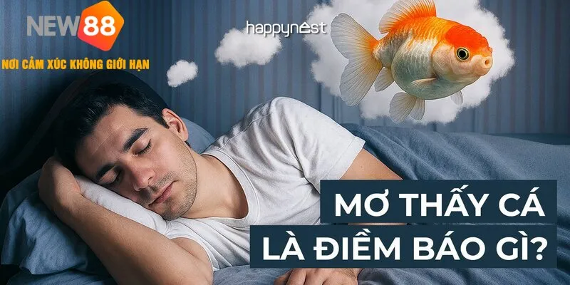 Mơ Thấy Câu Cá - Đánh Lô Đề Gì Dễ Trúng Thưởng Lớn 2025 1 Mơ Thấy Câu Cá - Đánh Lô Đề Gì Dễ Trúng Thưởng